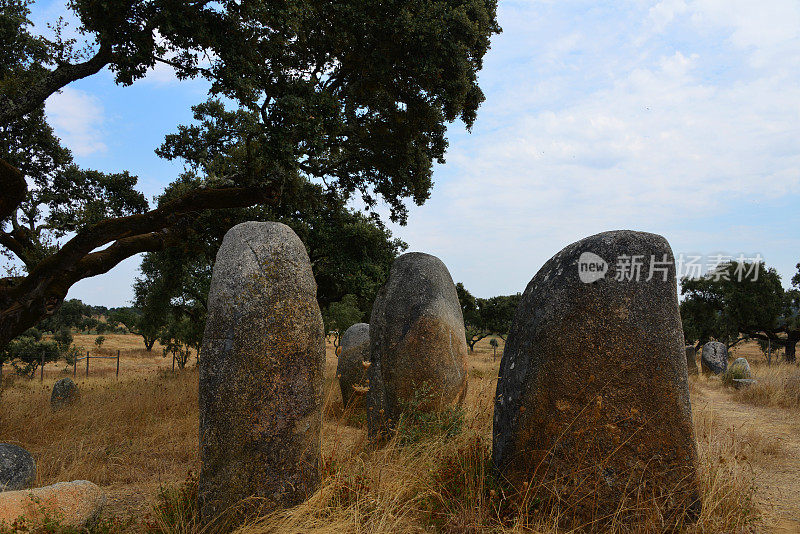 Meio cromlech的Vale de Maria -由30个menhre排列成椭圆形的巨石建筑群，Évora, Alentejo，葡萄牙